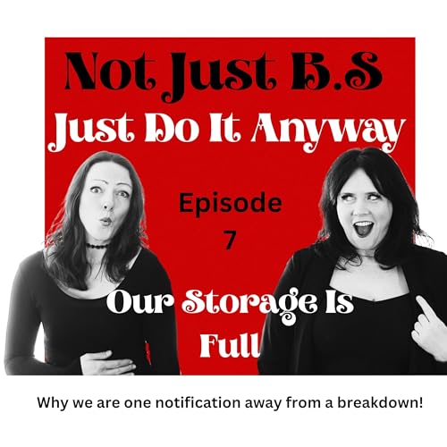 『Our Storage Is Full - Why we are one notification from a breakdown!』のカバーアート