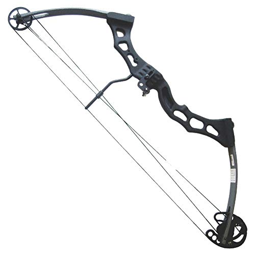  sck Arco Compound 60-65 LIBBRE Versione Carbonio (CO 011CB)