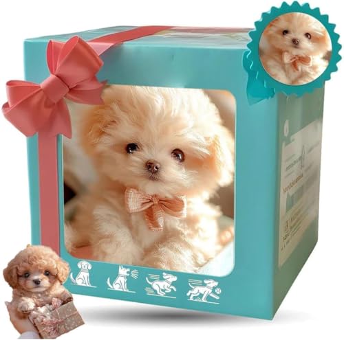 Girlmarryq^ybg{bg ʂ  d V ybg  ʂ t  q v[g (сij) [sAi]