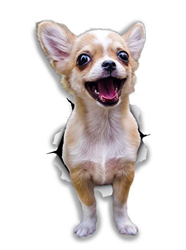 Winston & Bear Autocollants pour Chien 3D - 2 Pack - Excité Chihuahua pour Mur, réfrigérateur, Toilettes et Plus Excité Chihuahua Dog Autocollants