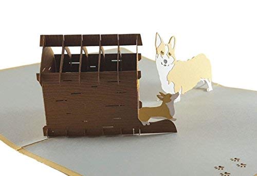 Igifts And Cards Mama Corgis N Puppies 3D Pop Up Greeting Card - Cute, Canine, Pet, Dog, Doggies, Half-Fold, Happy Birthday, Just Because, Thinking Of You, Baby Shower, Retirement, Friendship, Fun #TOP1