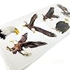Paper House Productions Pack of 3 Sticker Half-Sheets for Crafts, Scrapbooking & Collecting - Bald Eagles #1