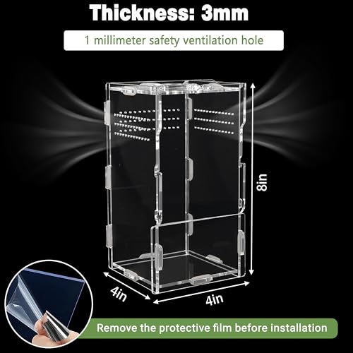 Image of Jumping Spider Enclosure Kit 22pcs Terrarium with Decor
