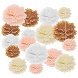 MEIYAXINWIN 22 Stücke Papier Pom Poms, 4 Farbige Seidenpapier Pompoms Papierkugeln Blumen-Set Hängende Partydekorationen, für Babyparty Hochzeit Geburtstagsfeier