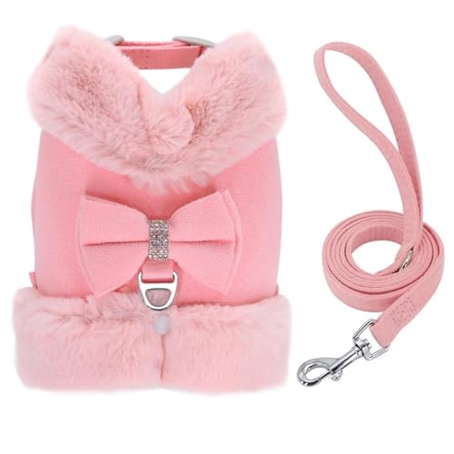 CXg[傤ѓ~gє猢n[lX[VZbgpOViEU[uhbOr[OČp,,S