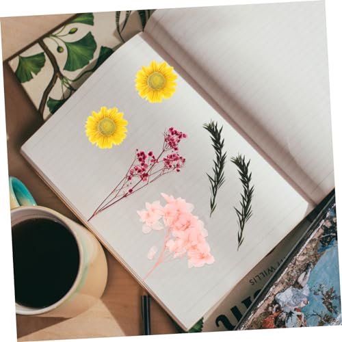 Kit de flores secas para decoración Alipis miniatura 2