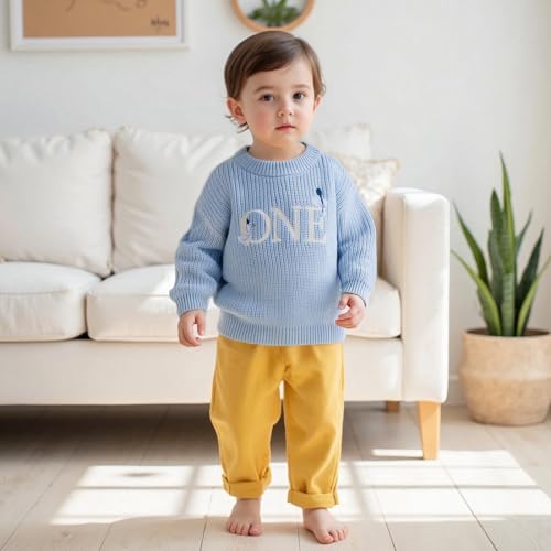 Baby Boy Girl 1st Birthday Outfit One Silly Goose Chunky Knit Sweater Knitted Shirt Sweatshirt Fall Winter Clothes2