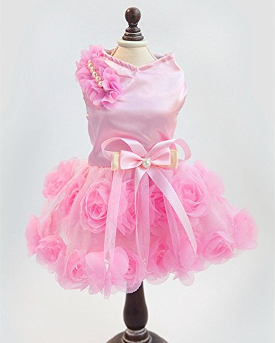 [SeitenFB]m EFfBOhX p[eB[hX 傤 傫ȃot   ybg  a v[g RX`[ vZX sN S