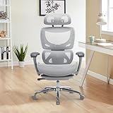 COLAMY AERIX Futuristic Mesh Ergonomic Office Chair, Gray