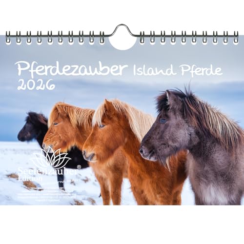 Pferdezauber Island Pferde DIN A5 Kalender für 2026 Pferde und Fohlen - Seelenzauber