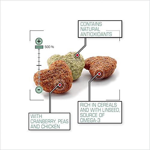 VERSELE-LAGA - Complete Rat & Mouse - Eiweißreiches extrudiertes Alleinfutter für Ratten und Mäuse - 2kg