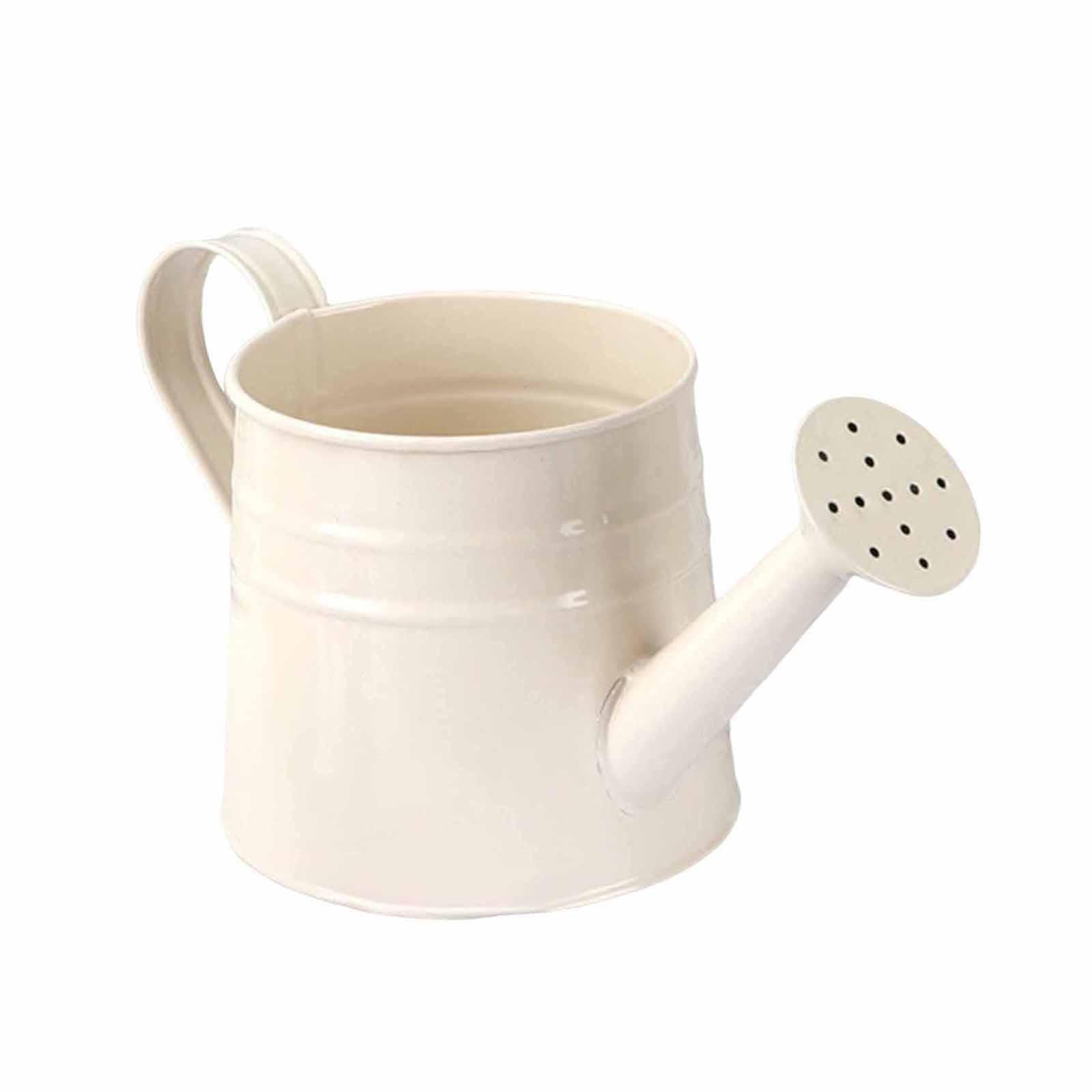 ALCXAZS Suitable For Both Indoor And Outdoor Decoration Rustic Mini Watering Can Planter Metal Flower Container Both Indoor Outdoor Retro Planter Decorative, White, 24.5x11.5cm