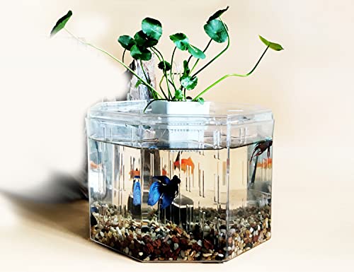 Siqi Betta Fish Tank Materiale acrilico Mini