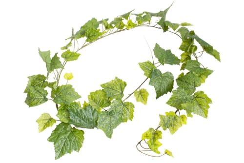 Botanic-Haus künstliche Weinlaubgirlande Weinrebe Weinlaub Länge ca. 180 cm Farbe: grün