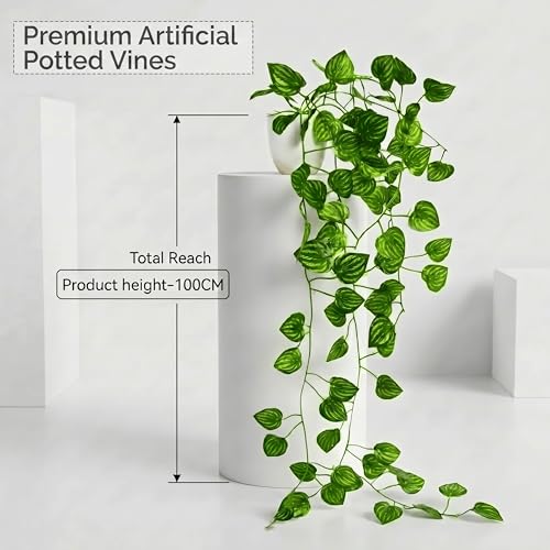 Image of Dekorly Artificial Hanging Garland with Pot - 100cm Rose Vine, 10cm Decorative Pot for Table, Shelf & Wall Decor (4, Vines-02)