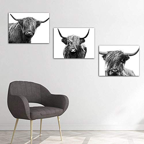 Gardenia Art Scottish Cow Canvas Print Animal Painting Wall Art For Living Room Pet Shop Zoo Decoration 12X16 Inch/Piece, Framed, 3 Panels #TOP6