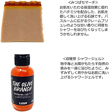 LUSH Rush All The Best Gift Set with Shopper Included, Soap Shower Gel Scrubs, Assorted 4