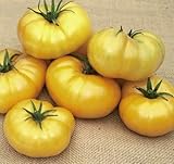 tomate amarillo wikipedia 30 semillas de Azoychka – Tomates amarillos