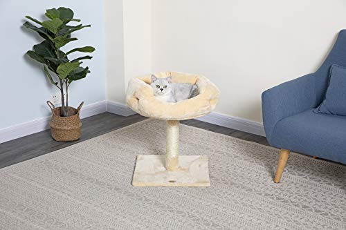 vibrant life sand sifting oasis litter box