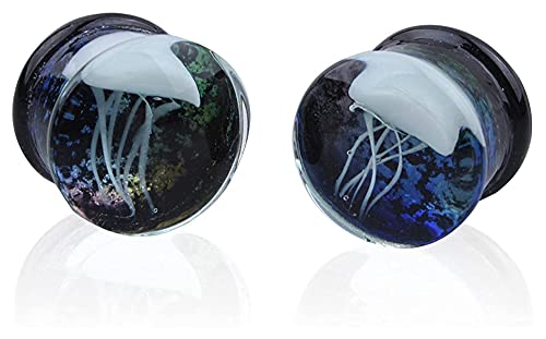 LYLLYL 2 Pcs Ear Plug Ear Piercing Ear Jewelry Glass Tunnels Acrylic Glass Ear Plugs Tunnels Gauges Wedge Piercings(D,16mm)