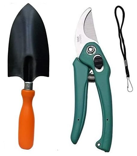 Aarav Garden Tool Set - 2 Pcs (Big Trowel, Pruner Cutter) | Gardening Tools Kit for Home Gardening | Plant Cutter | Flower Cutter | Garden Leaf Scissor Cutter | Garden Tool (B0CFBDL6RD) Amazon Price History, Amazon Price Tracker