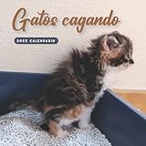  Gatos cagando Calendario: Calendario 2023 - 8.5\'\'x8.5\'\' - Regalos para familiares y amigas amigos
