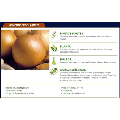 Sementes Importadas De Cebola Br 29 (Creoula) 500g Topseed