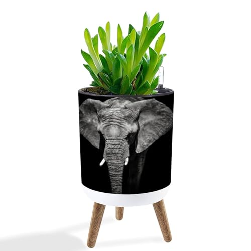 UHMLTCRBOD Planter with Stand Portrait Elephant Boho...