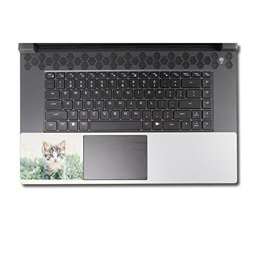 Image of MightySkins Skin Compatible with Alienware M17 R5 (2022) Full Wrap Kit - Blue Eyed Kitten | Protective, Durable, and Unique Vinyl Decal wrap Cover | Easy to Apply & Change Styles | Made in The USA