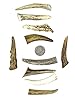 Natural Dakota Deer Antler Crafting Points (Jewelry, Home Décor, Crafts) Antler Tips, Tines, Points (1"-3") #2