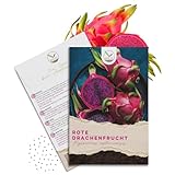 HappySeed – Rote Drachenfrucht Samen