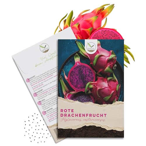 Rote Drachenfrucht Samen (Hylocereus costaricensis) - Seltenes Pitaya Saatgut ideal für die Anzucht Indoor und Outdoor geeignet