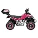 MINI QUADRICICLO RADICAL ELETRICO INFANTIL... glide