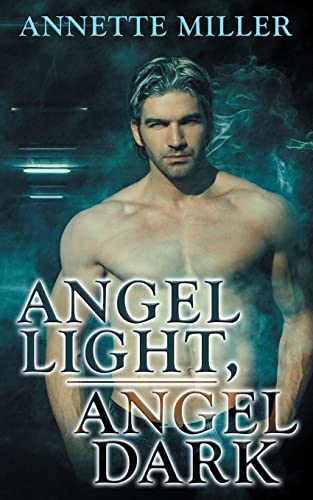 Book cover for Angel Haven series