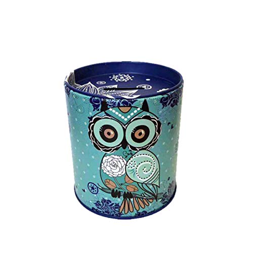Owl Piggy Bank Tin Save Spend Share Giving Coin Money Can Keepsake Home Bedroom Nursery Party Decor Ornament Pen Pencil Brushes Holder Stationery Dresser Organizer Cup Kids Boys Girls Adults - (Blue) #TOP21