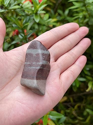 Image of GAF TREASURES 1 /2 LB Shiva Lingam Tumbled Stones, Polished Shiva Lingam Gemstone, Shiva Lingam Healing Crystals (Shiva Lingam)