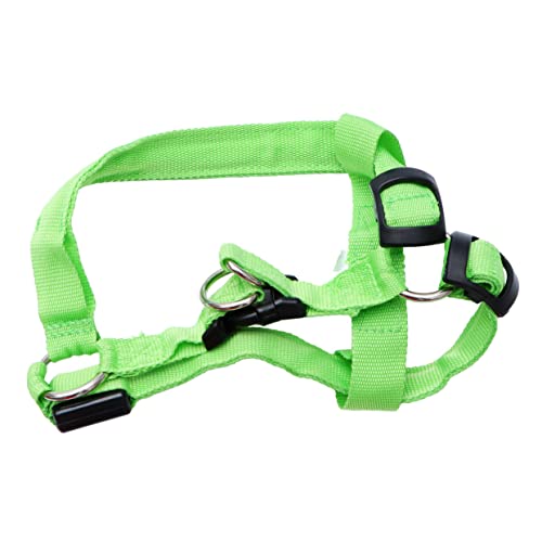 Correas Perros Grandes Adiestramiento Marca TOYANDONA