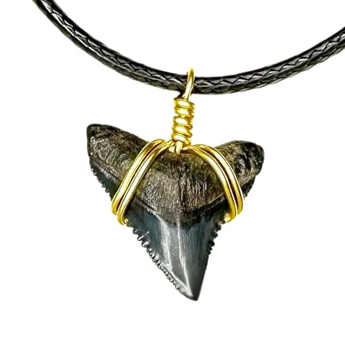 SHRKco Classic Bull Shark Tooth Necklace Real Fossilized Shark Tooth Pendant Black Gold Silver Wire Wrap Multiple Lengths Unisex Ocean Jewelry Gift (Small/Choker gold)