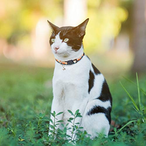 SCENEREAL Natural Scenery Series Breakaway Cat Collar with Bells, 2 Pack Soft Adjustable Kitten Collars for Cats Puppies… - Image 6