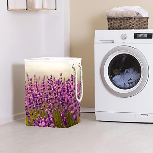 Panier à linge personnalisé violet lavande grand format avec poignées solides - 3