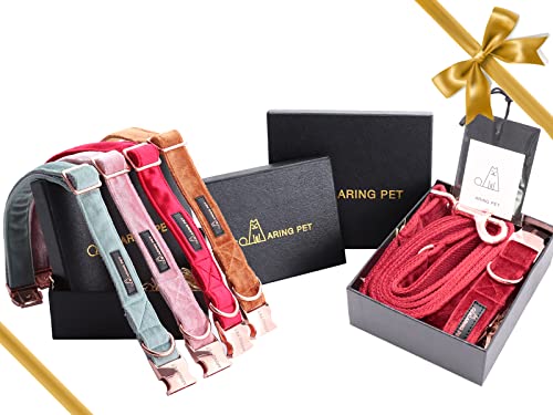 ARING PET Hundehalsband und Leine aus Samt, Niedliches Rotes Hundehalsband und Leine, Verstellbares Halsband aus Weichem Samt mit Metallschnalle für Kleine Mittelgroße Große Hunde