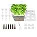 Hydroponic Seedling Box, All-Season Cultivation Complete Set, Plant Germination Container, Growing Kit with Nutrient System, Indoor Hydroponics for Lettuce Flowers Balcony Parterre Hotel Apartment immagine
