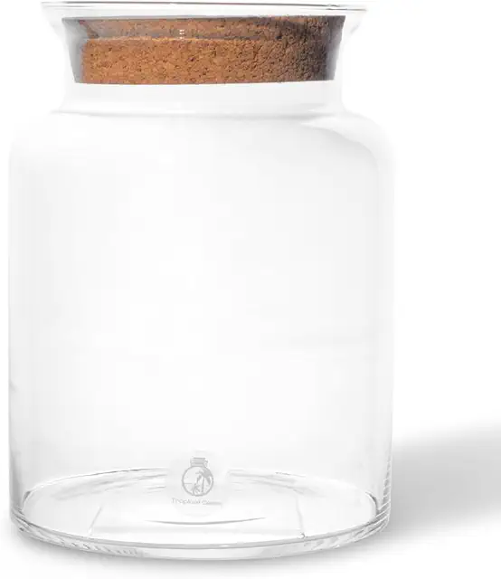 25cm Glass Terrarium Container with Cork Lid for Plants & Succulents