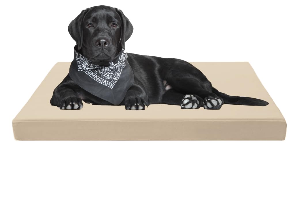 A ATH COLLECTION Waterproof Dog Bed Cushion Orthopaedic Pet Bed and Mattress Indoor Outdoor with Washable & Removable Zipped Cover Gifts for Dog (Medium (90 x 60 x 5cm), Cream)