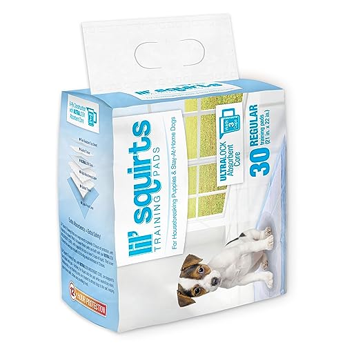 RHODE ISLAND TEXTILE Almofadas de treinamento para filhotes Lil' Squirts, pacote com 30