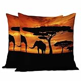 Beabes Throw Pillows Covers Black Silhouette Elephants African Wild Animal Herd in The Sunset Home D