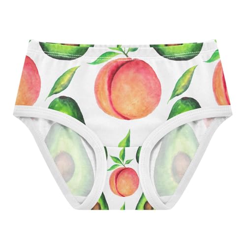Watercolor Peaches Toddler Girls's Underwear 2T 202c1403