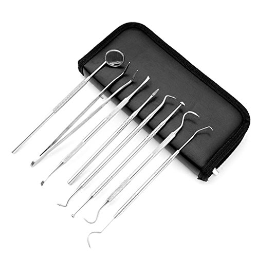 Preisvergleich Produktbild GxNI Zahnmedizinisches Mundwerkzeug - Edelstahl-endoskopischer Zahnarzt-Harz-Füller-Zahn- / Zahn-Stein-Entferner-Hochwertige Leder-Tasche Berufsmedizinisches Material 8 Stücke / Sätze