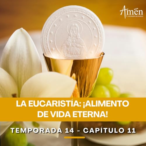 La Eucaristía: alimento de vida eterna - Padre Carlos Yepes - Reflexiones para la Vida