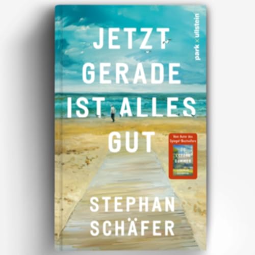 146. Stephan Schäfer - Jetzt gerade ist alles gut - Interview